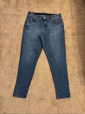 Democracy Indigo Skinny Jeans